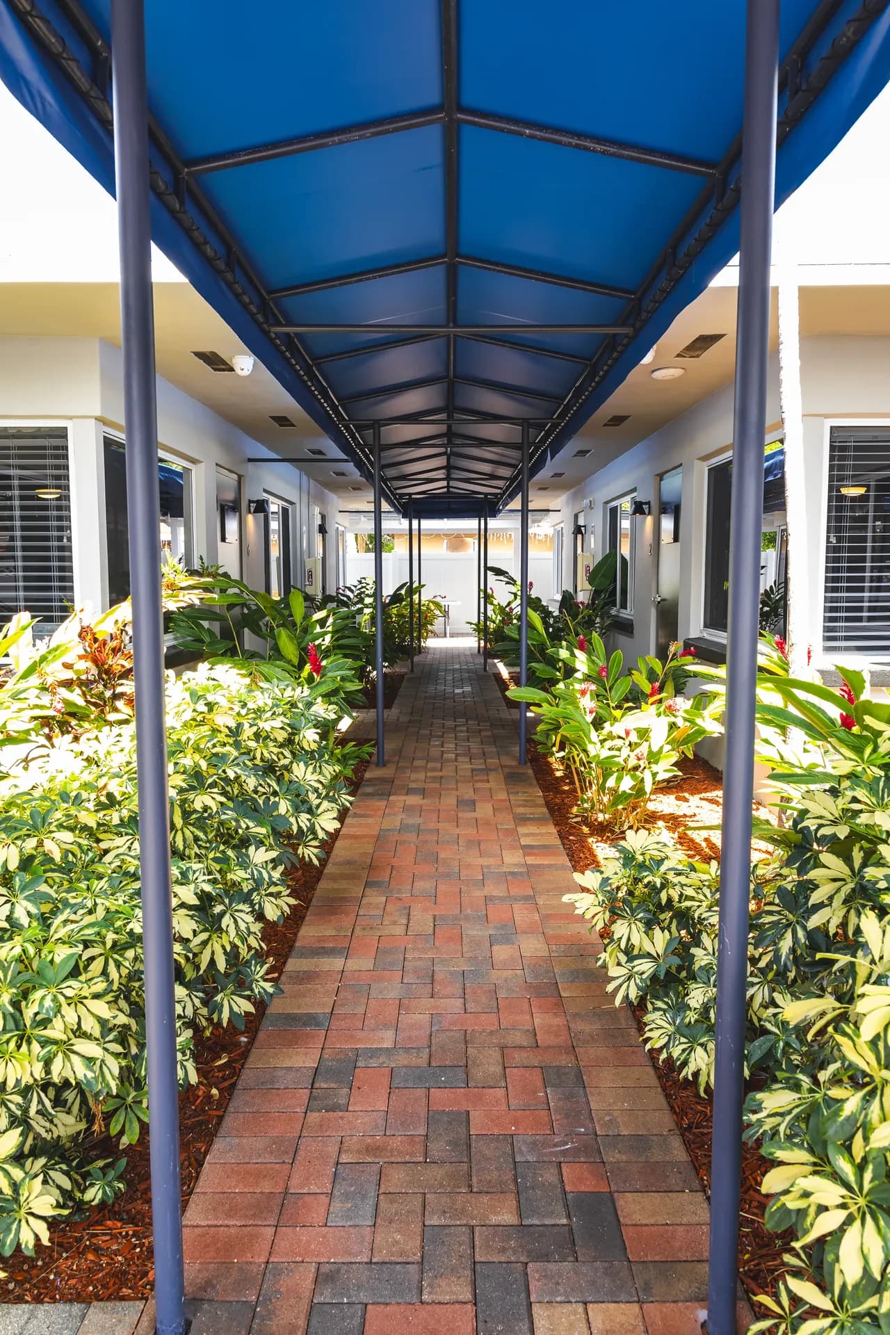 Dual Diagnosis Treatment in West Palm Beach & San Diego