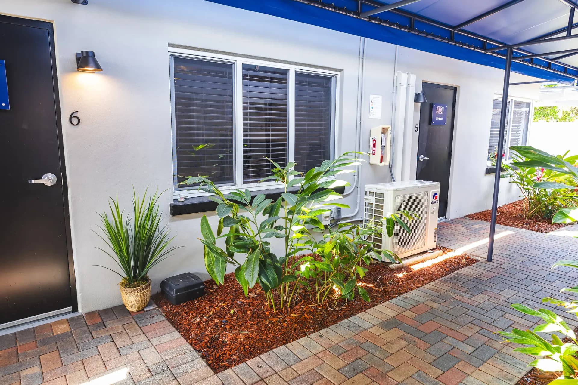 Holistic wellness activities