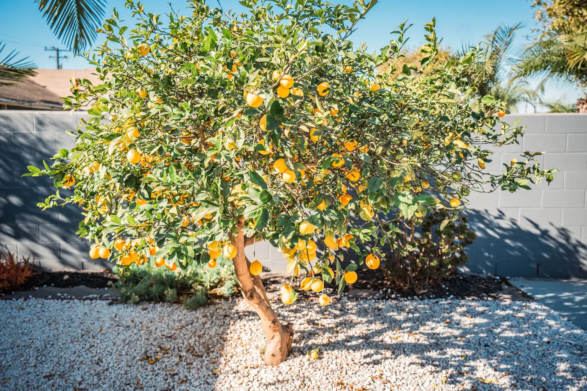 Amity San Diego facility exterior