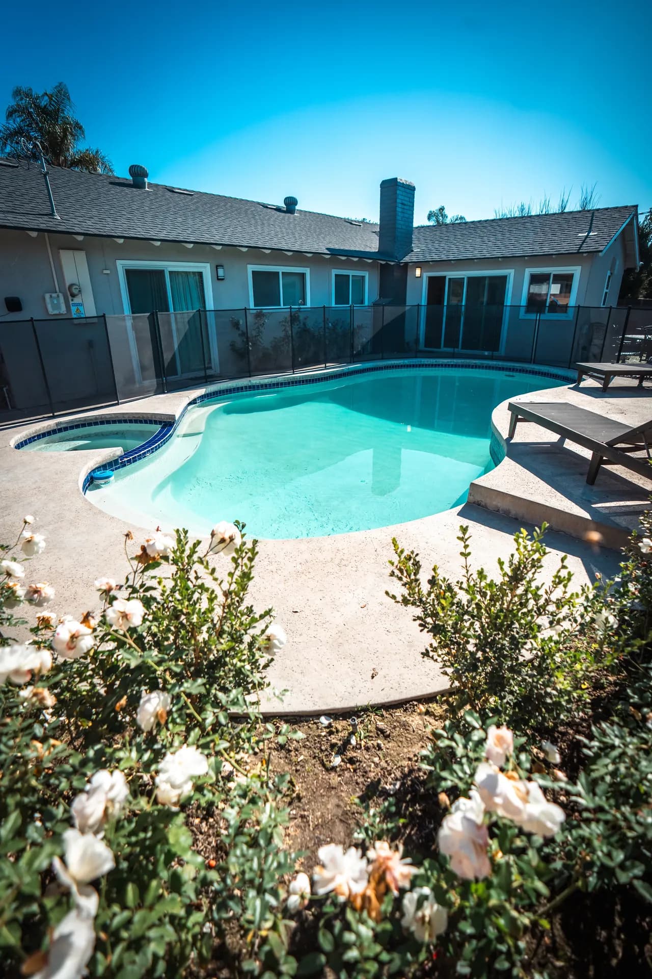 Individual counseling