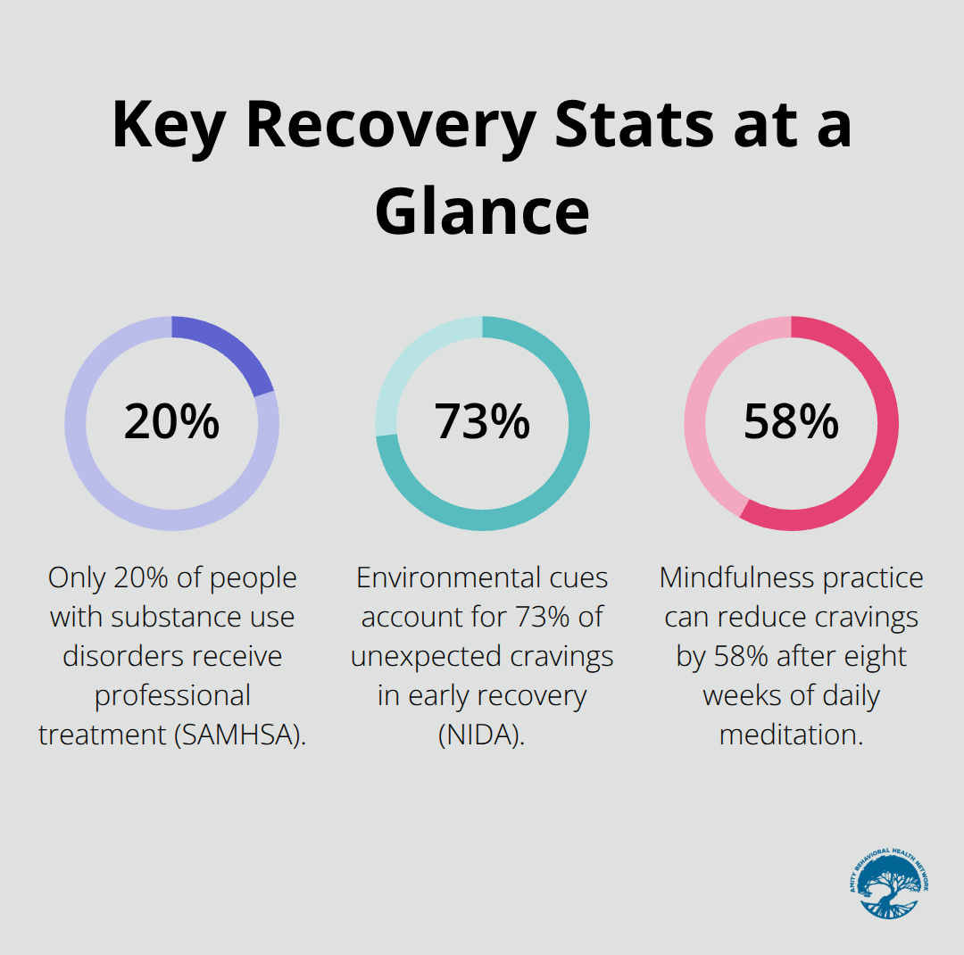 Three evidence-based addiction recovery statistics for the United States