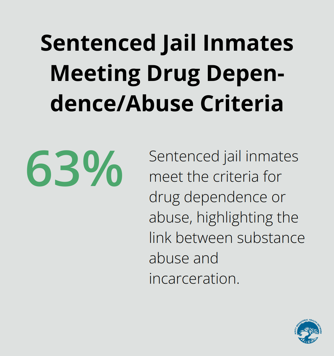 Chart showing that 63% of sentenced jail inmates meet the criteria for drug dependence or abuse, according to the Bureau of Justice Statistics.