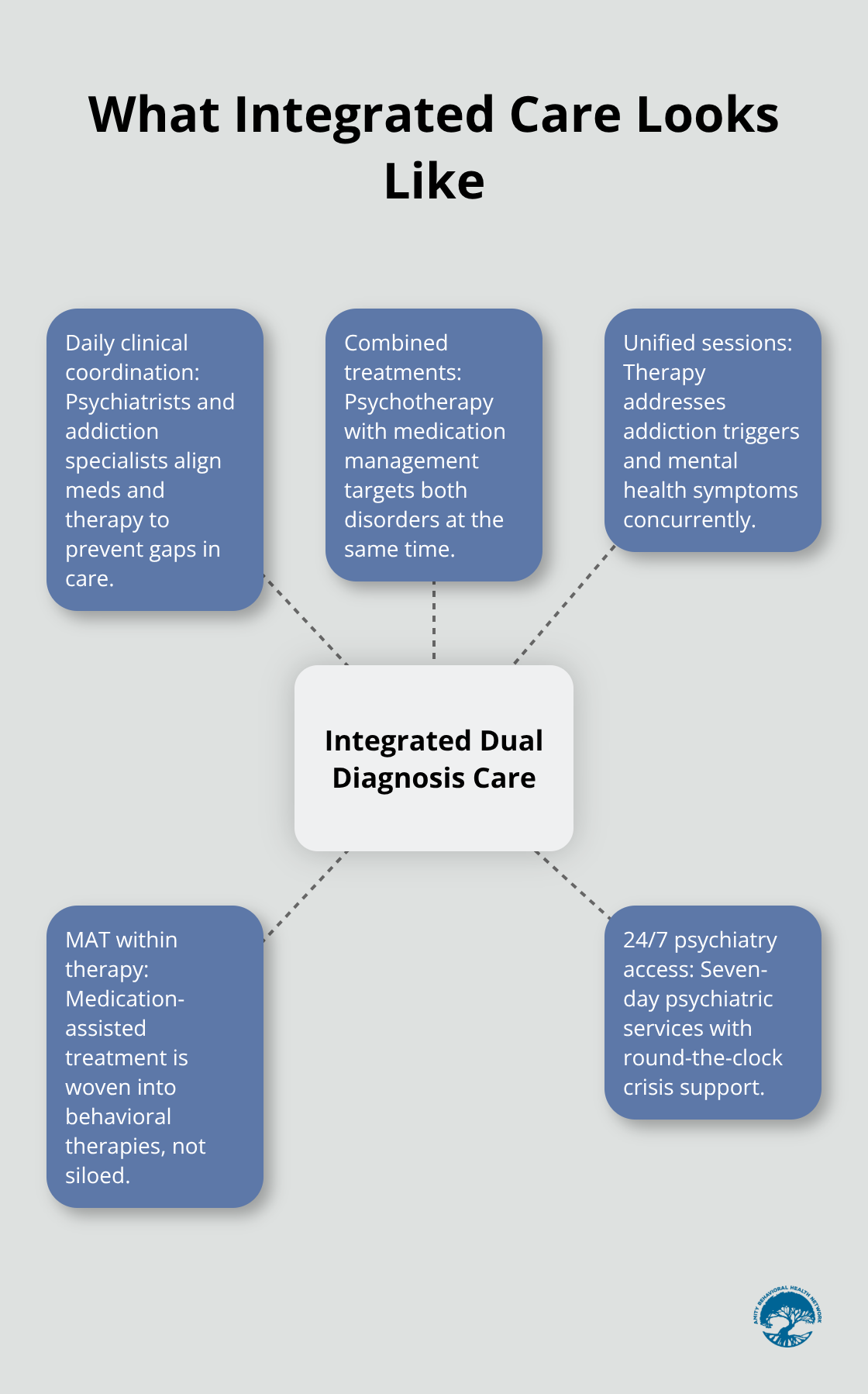 Diagram of integrated dual diagnosis treatment components - luxury dual diagnosis treatment centers