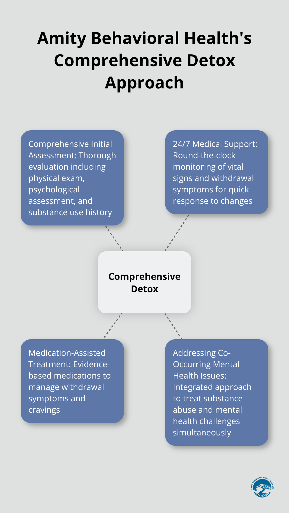 Hub and spoke chart illustrating Amity Behavioral Health's comprehensive approach to detox, with four key components - substance abuse detoxification