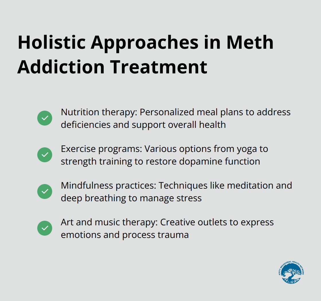 Chart listing four holistic approaches used in methamphetamine addiction treatment
